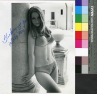 藏品(Willy Pey)的圖片