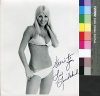 藏品(Lindelarl)的圖片