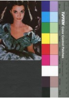 藏品(亂世佳人)的圖片