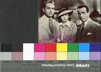 藏品(北非諜影)的圖片