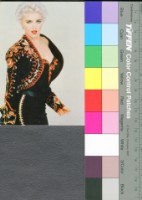 藏品(瑪丹娜)的圖片