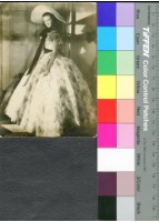 藏品(費雯麗)的圖片