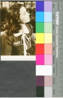 藏品(費雯麗)的圖片