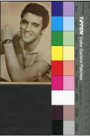 藏品(貓王)的圖片