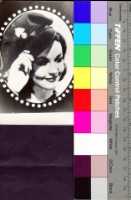 藏品(費雯麗)的圖片