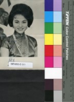 藏品(石燕)的圖片