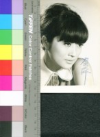 藏品(秦萍)的圖片