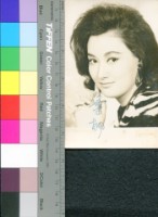 藏品(葉楓)的圖片