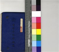 藏品(祕室少女)的圖片