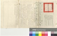 藏品(危險的十七歲)的圖片