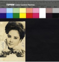 藏品(葉玲)的圖片