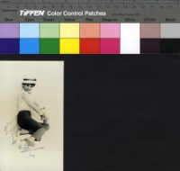 藏品(張琪)的圖片