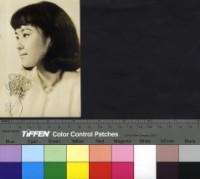 藏品(甄珍)的圖片