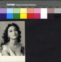 藏品(葉楓)的圖片