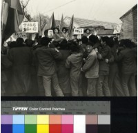 藏品(火龍)的圖片