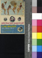 藏品(¡¡Arriba las mujeres!!)的圖片