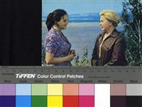 藏品(Русское поле / 俄羅斯的田野)的圖片