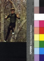 藏品(борис агешин)的圖片