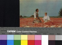 藏品(Сломанная подкова)的圖片