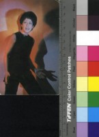 藏品(Гюли Чохели)的圖片