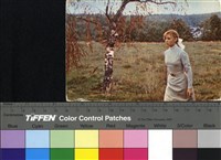 藏品(Чайка)的圖片