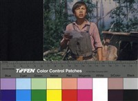 藏品(пятая　четверть)的圖片