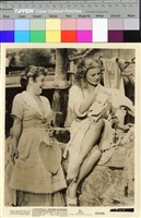 藏品(The Rains of Ranchipur(暴雨情天))的圖片