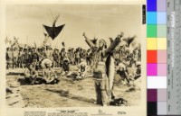 藏品(White Feather)的圖片