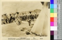 藏品(White Feather)的圖片