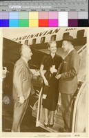 藏品(天鵝公主(The Swan))的圖片