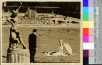 藏品(不知名)的圖片