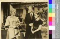 藏品(不知名)的圖片