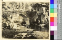 藏品(不知名)的圖片