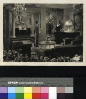 藏品(不知名)的圖片