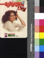 藏品(一對傻鳥主題曲--一對鳥兒飛)的圖片