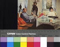 藏品(一寸山河一寸血)的圖片