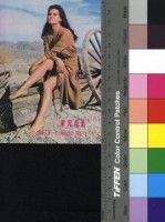 藏品(洛可兄弟─克勞黛卡汀娜)的圖片