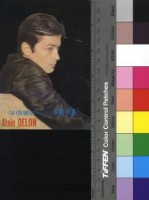 藏品(洛可兄弟─亞蘭德倫)的圖片