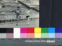 藏品(愛情長跑)的圖片