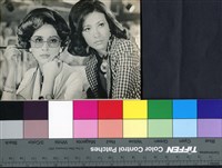 藏品(近水樓臺)的圖片