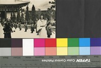 藏品(王冠雄)的圖片