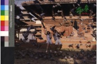 藏品(奇緣(港片))的圖片