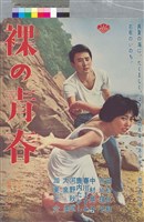 藏品(裸の青春)的圖片