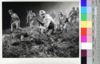 藏品(藍與黑(黑白))的圖片