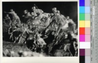 藏品(藍與黑(黑白))的圖片