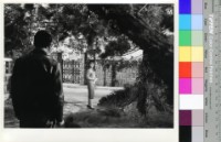 藏品(藍與黑(黑白))的圖片