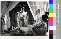 藏品(愛奴(黑白))的圖片