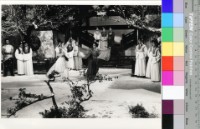 藏品(愛奴(黑白))的圖片