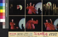 藏品(像霧又像花(彩色))的圖片