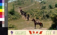 藏品(玉面煞星(彩色))的圖片